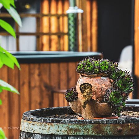 فيلا House Arupium - Hot Tub Otočac المظهر الخارجي الصورة